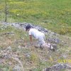 environnement-5