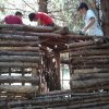 environnement-cabane