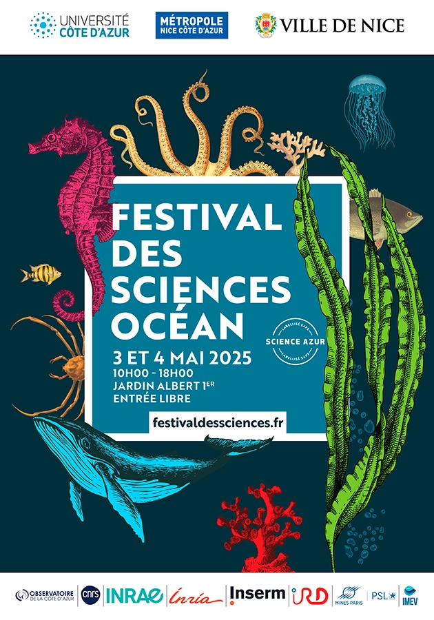 festival-ocean-2025_650